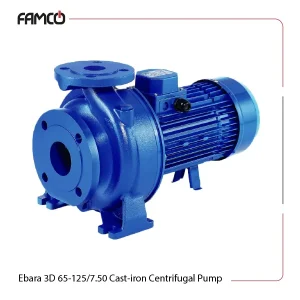 Ebara 3D 65-125/7.50 Cast-iron Centrifugal Pump