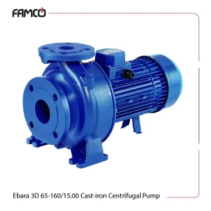 Ebara 3D 65-160/15.00 Cast-iron Centrifugal Pump