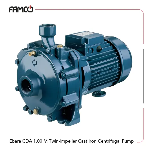 Ebara CDA 1.00 M Twin-impeller Cast Iron Centrifugal Pump