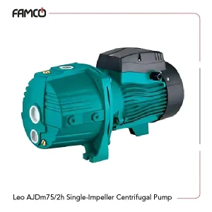 Leo AJDm55/2h Single-Impeller Centrifugal Pump