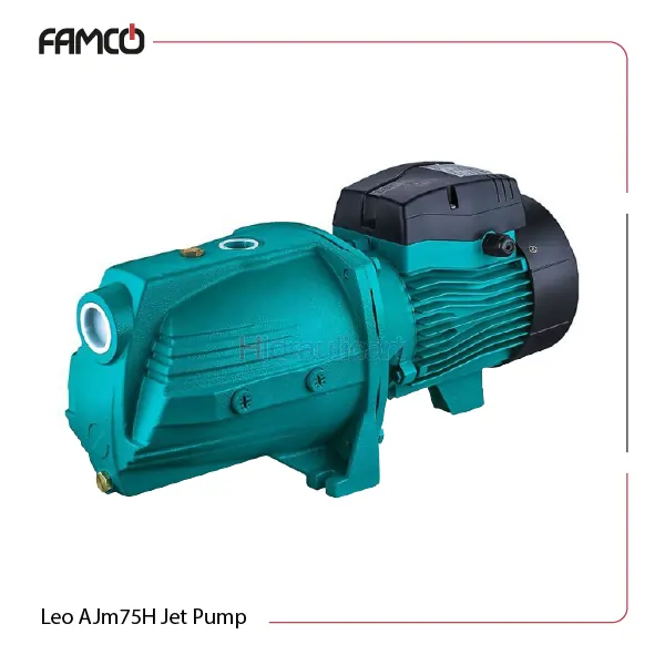 Leo AJm75H Jet Pump