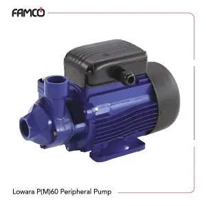 Lowara P(M)60 Peripheral Pump