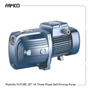 Pedrollo FUTURE JET 1A Three Phase Self-priming Pump