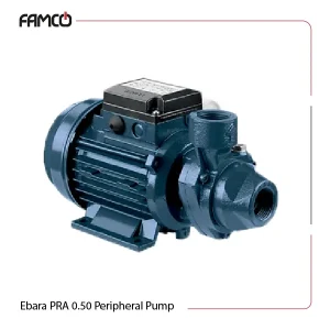 Ebara PRA 0.50 Peripheral Pump