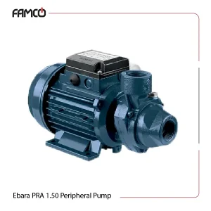 Ebara PRA 1.50 Peripheral Pump