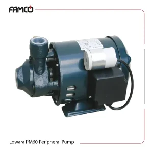 Lowara P(M)60 Peripheral Pump