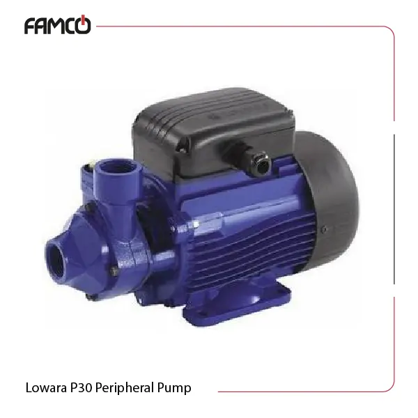 Lowara P30 Peripheral Pump