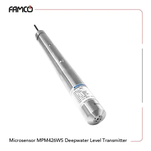 Microsensor MPM426WS Deepwater Level Transmitter