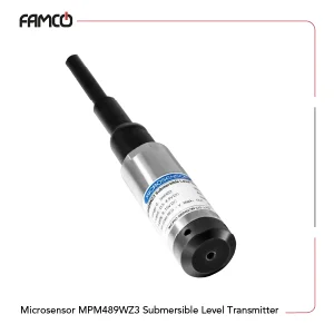 Microsensor MPM489WZ3 Submersible Level Transmitter