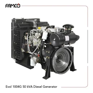 Evol 1004G 50 kVA Diesel Generator