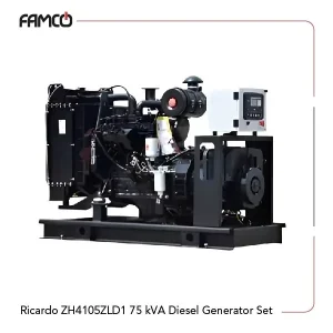 Ricardo ZH4105ZLD1 75 kVA Diesel Generator Set