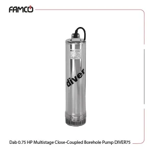 Dab 0.75 HP Multistage Close-Coupled Borehole Pump DIVER75