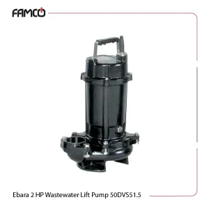 Ebara 2 HP Wastewater Lift Pump 50DVS51.5