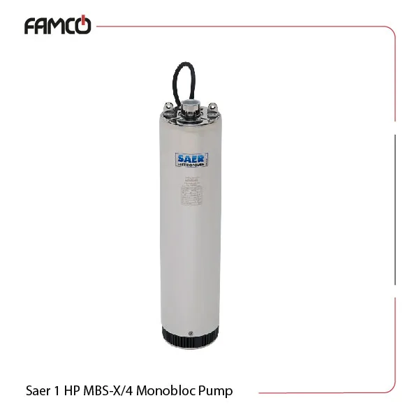 Saer 1 HP MBS-X/4 Monobloc Pump