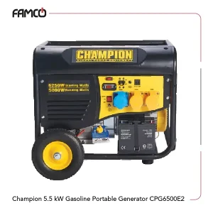 Champion 5.5 kW Gasoline Portable Generator CPG6500E2