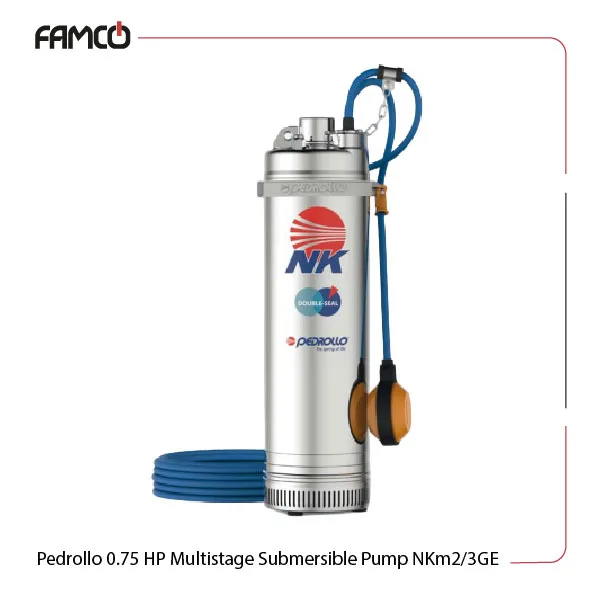 Pedrollo 0.75 HP Multistage Submersible Pump NKm2/3GE