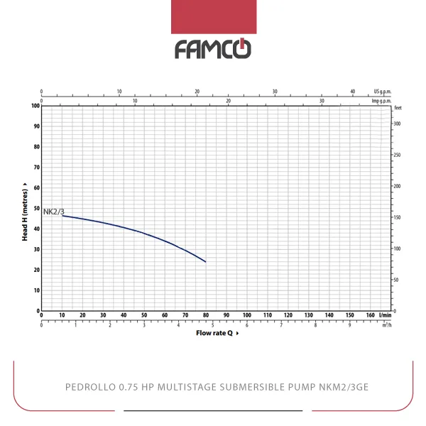 Pedrollo 0.75HP Multistage Submersible Pump NKm2/3GE Performance Curve