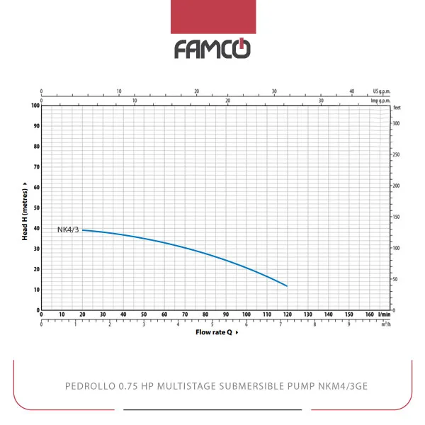 Pedrollo 0.75HP Multistage Submersible Pump NKm4/3GE