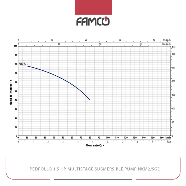 Pedrollo 1.5 HP Multistage Submersible Pump NKm2/5GE Performance Curve