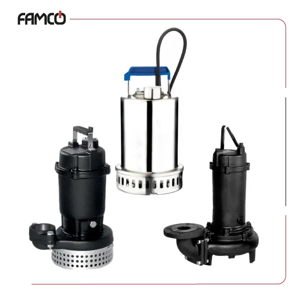 Ebara Sewage Pumps