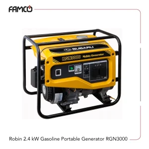 Robin 2.4 kW Gasoline Portable Generator RGN3000