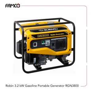 Robin 3.2 kW Gasoline Portable Generator RGN3800