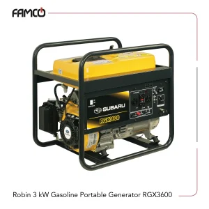 Robin 3 kW Gasoline Portable Generator RGX3600