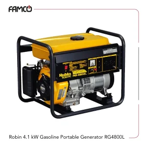Robin 4.1 kW Gasoline Portable Generator RG4800L