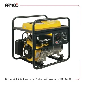 Robin 4.1 kW Gasoline Portable Generator RGX4800