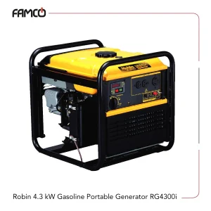 Robin 4.3 kW Gasoline Portable Generator RG4300i