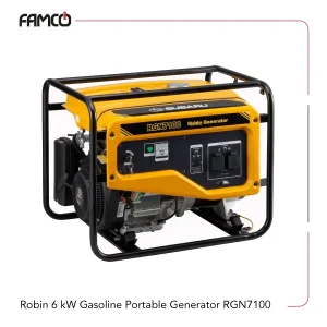 Robin 6 kW Gasoline Portable Generator RGN7100