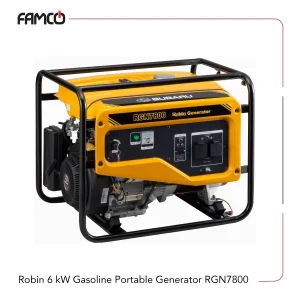 Robin 6 kW Gasoline Portable Generator RGN7800