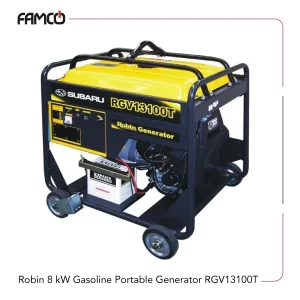 Robin 8 kW Gasoline Portable Generator RGV13100T