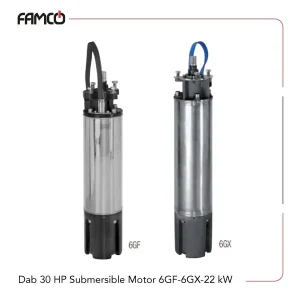 Dab 30 HP Submersible Motor 6GF/6GX-22 kW