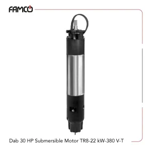 Dab 30 HP Submersible Motor TR8-22 kW-380 V-T