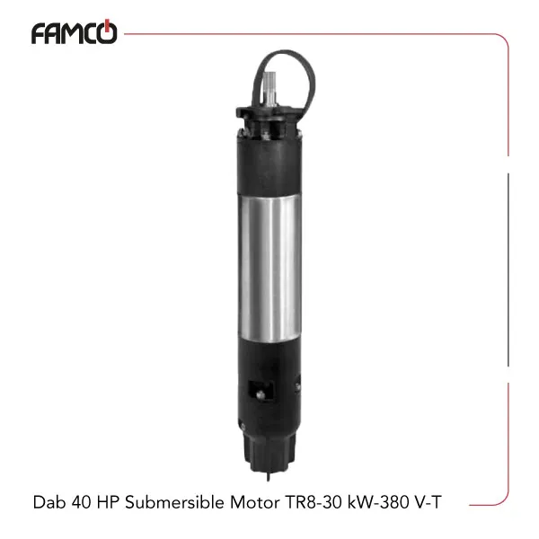 Dab-40-HP-Submersible-Motor-TR8-30-kW-380-V-T Dab 40 HP Submersible Motor TR8-30-kW-380-V-T