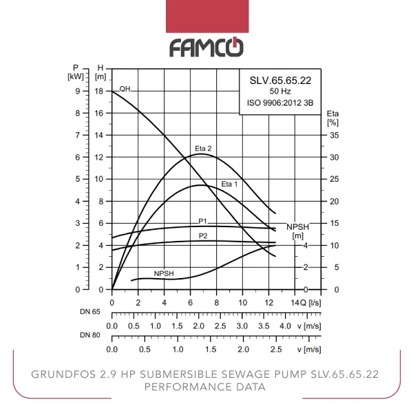 Grundfos 2.9 HP Submersible Sewage Pump SLV.65.65.22 Performance Data