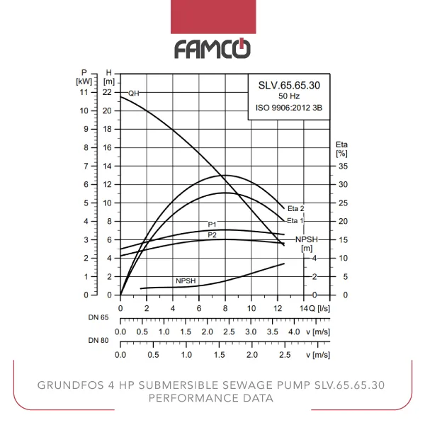 Grundfos 4 HP Submersible Sewage Pump SLV.65.65.30 Performance Data