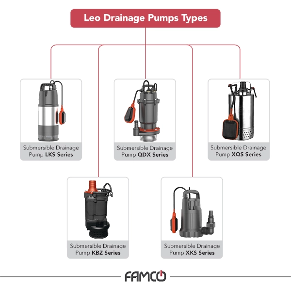 Leo Drainage Pumps Types