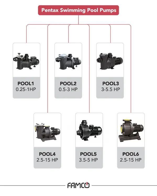 Pentax Swimming Pool Pump Models