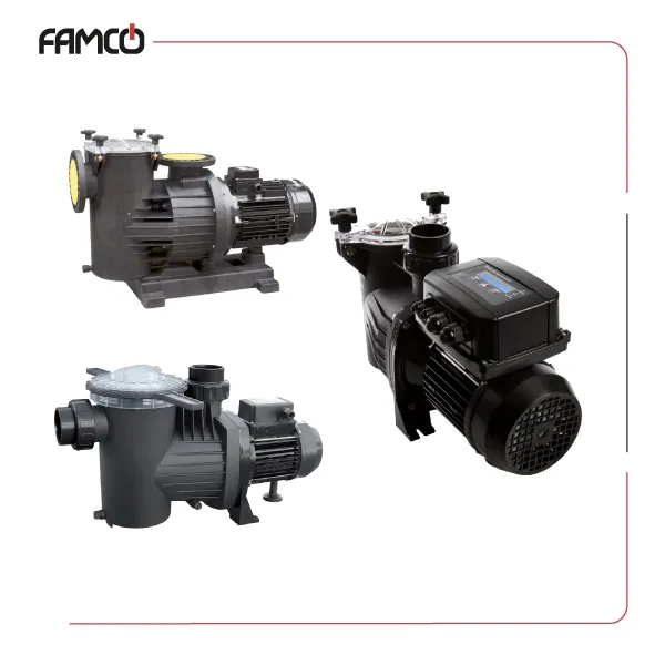 Pentax Swimming Pool Pumps